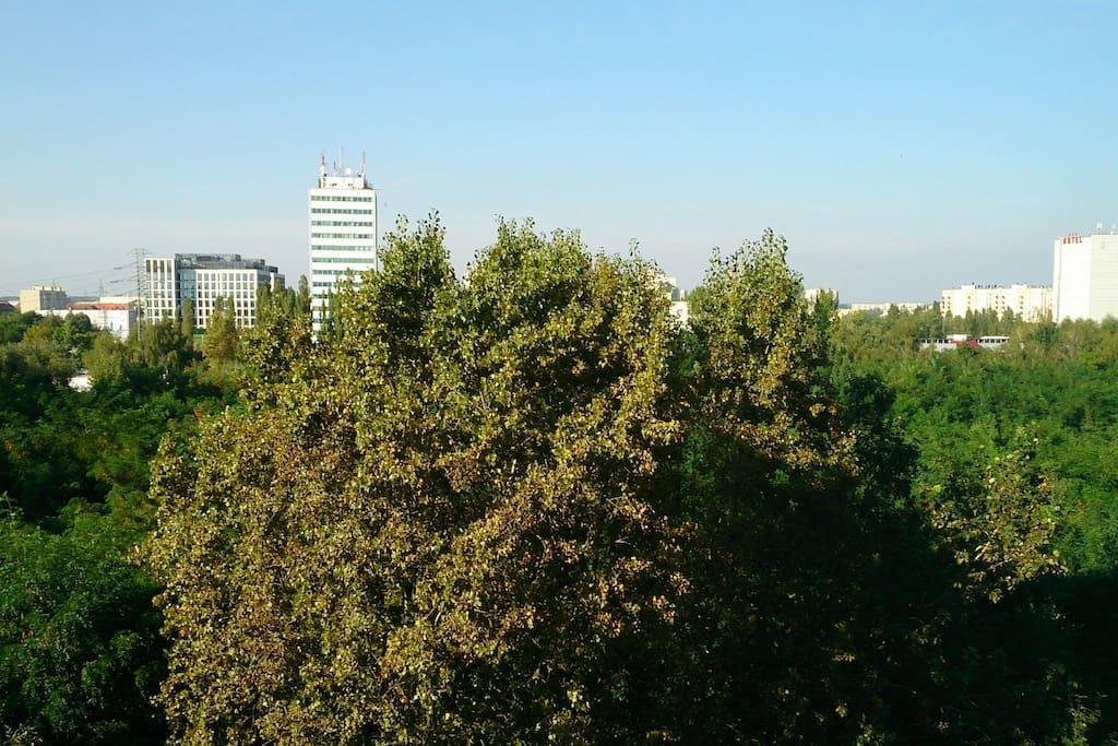1 Bedroom Francuska Park Apartment كاتوفيتسه المظهر الخارجي الصورة