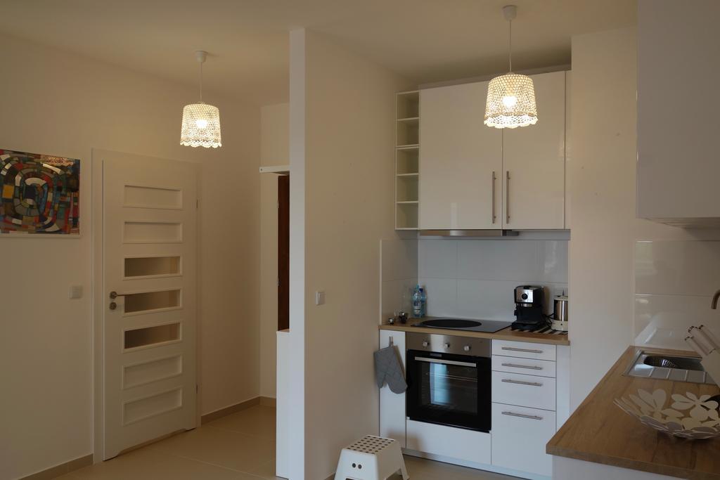 1 Bedroom Francuska Park Apartment كاتوفيتسه المظهر الخارجي الصورة